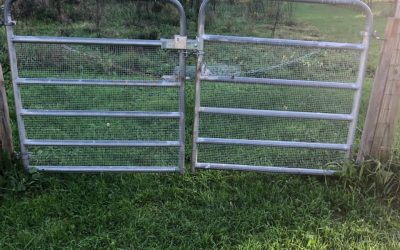 Getting the gaps in the fencing filled in