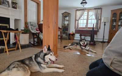 February/March 2025 Update