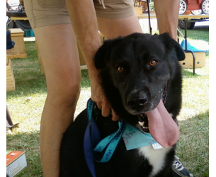 CCLS Newsletter Winter 2021